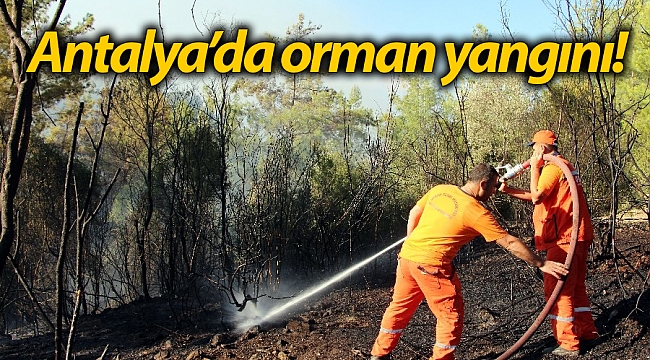 Antalya'da orman yangını! (Videolu) - GÜNDEM - İleri Gazete