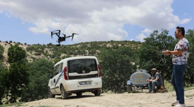 Kurt saldırısından kaçan 30 keçi dronla arandı