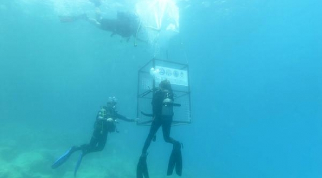 Kaş'ta, su altına atık konteyneri indirildi